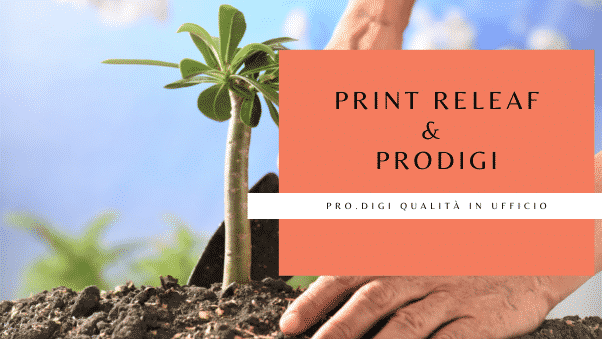 Print Releaf e Prodigi